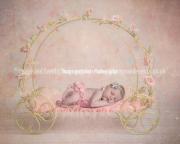 Newborn baby girl in Princess carriage