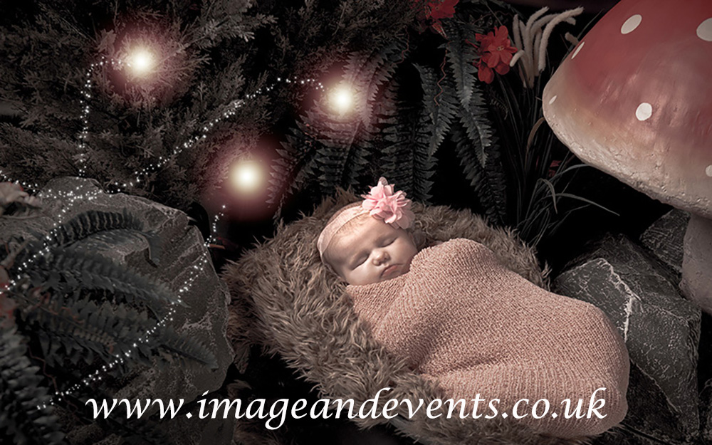 Themed Newborn photograph example with fairy and elf set